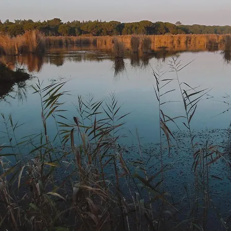 Meco Garden Retreat - Near Sesimbra *