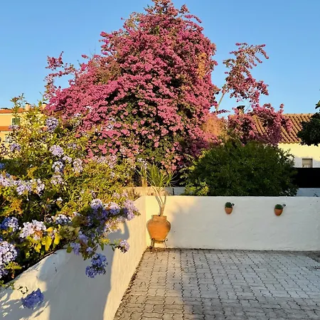 Meco Garden Retreat - Near Sesimbra Дом отдыха